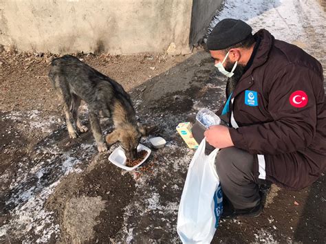 Ağrıda Sokak Hayvanlarına Yardım