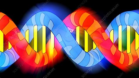 DNA molecule, animation - Stock Video Clip - K008/8246 - Science Photo ...