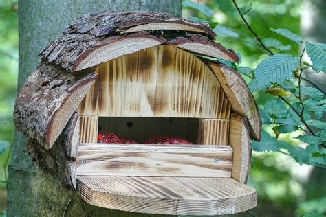 Vogelhaus Nistkasten Selber Bauen Einfache Anleitung Ideen