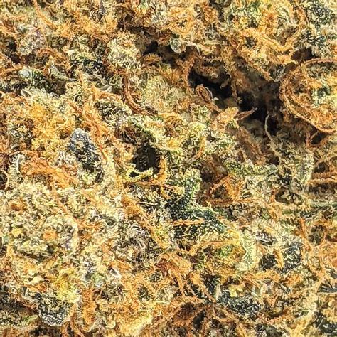 Blueberry Gas Aaa Buy Weed Online Online Dispensary