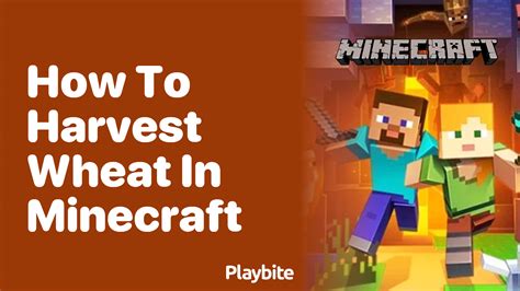 How To Harvest Wheat In Minecraft Playbite