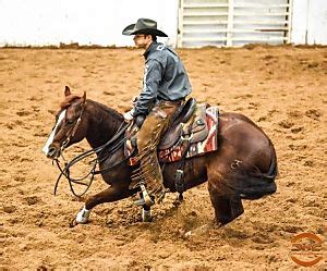 Adan Banuelos : Cutting Horse Central