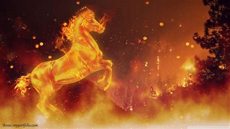 Flaming Horse Wallpapers - Top Free Flaming Horse Backgrounds ...