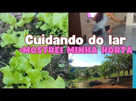 Minha Rotina Cuidando Do Lar Mostrei Minha Pequena Horta Youtube