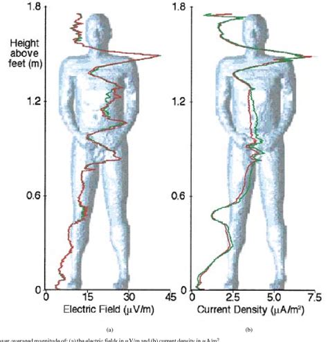 Human Magnetic Field