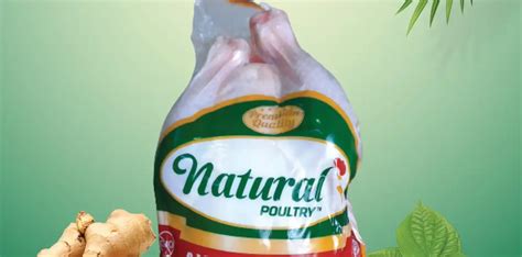 Ayam Negeri Probiotik Natural Poultry Natural Poultry