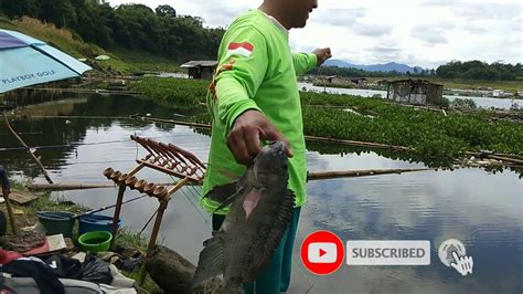 Mancing Saguling Terbaru Hanya Ini Yang Di Dapat Youtube