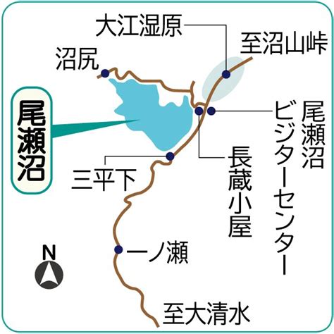 《尾瀬折々⑤》輝く花々が湿原に彩り 尾瀬沼 上毛新聞社のニュースサイト