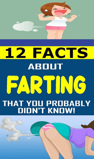 12 Facts About Farting You Probably Didnt Know