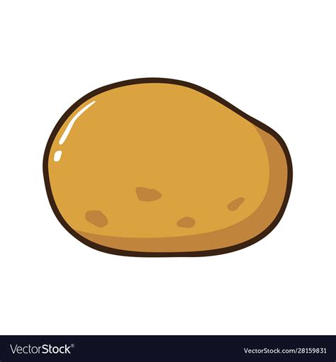 Potato Royalty Free Vector Image Vectorstock