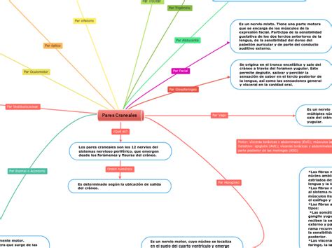 Pares Craneales Carte Mentale