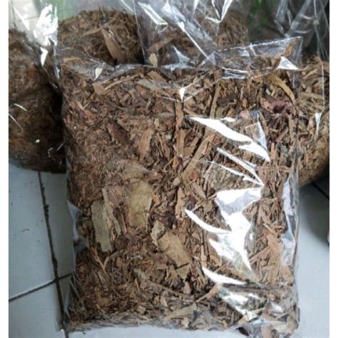 Jual Daun Bambu Humus Media Tanam Shopee Indonesia