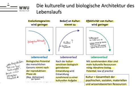 Entwicklungspsychologie VL 11 Karteikarten Quizlet