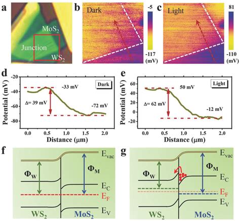 Kpfm Measurement Of Heterostructures A Optical Image Of Download Scientific Diagram