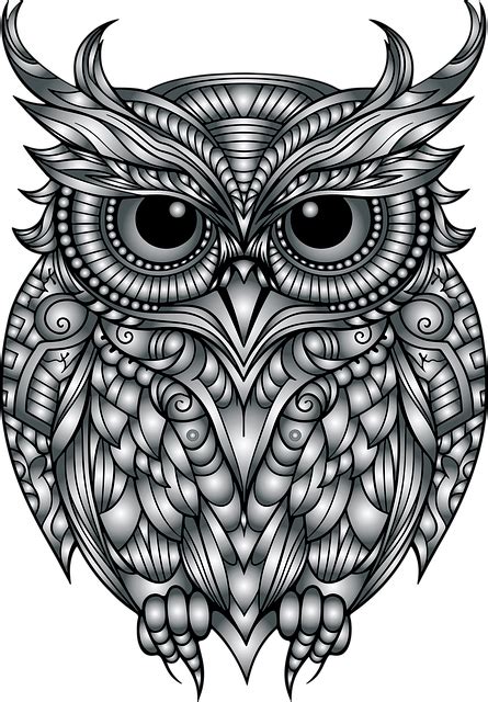 Download Owl, Bird, Art. Royalty-Free Vector Graphic - Pixabay