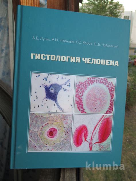 Учебник по гистологии