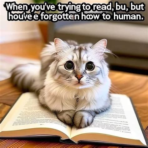 📚 27 Hilarious Reading Memes for Book Lovers Everywhere 🤣