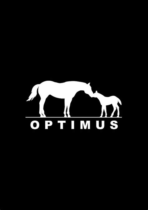 Stal Optimus Auction - Barnbridge Auctions