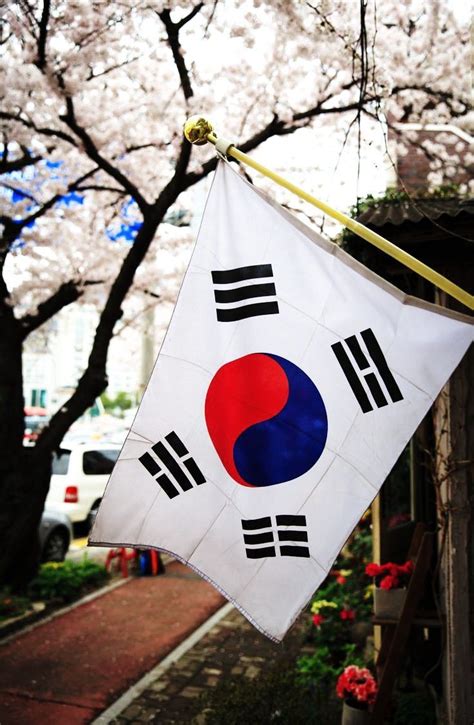 Corea del Sur Brasil - SeanHuffergustr