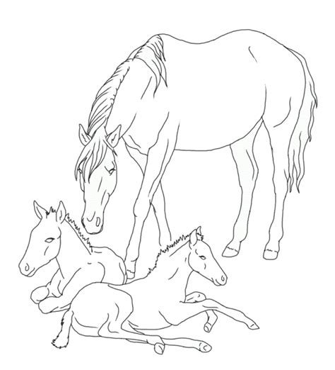 Coloriage Cheval Poulain Dessin Cheval Imprimer The Best Porn Website