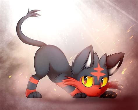 Litten Hd Wallpaper Pxfuel