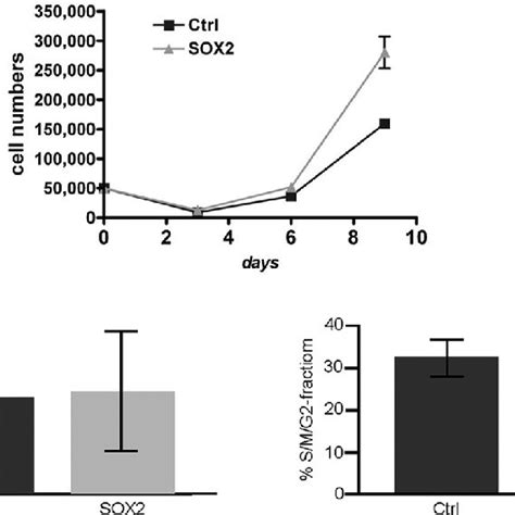 Influence Of Sox2 Overexpression On Cell Growth And Proliferation Cell