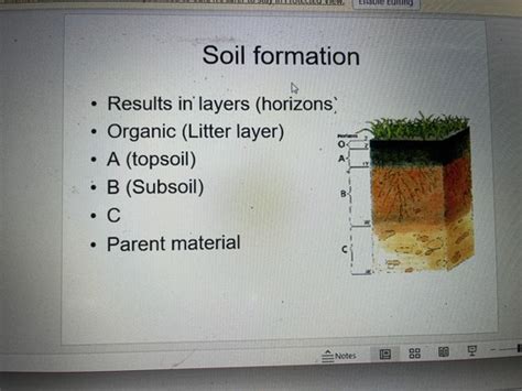 Soil Flashcards Quizlet