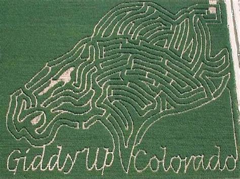 Amazing Corn Mazes Maze Design Corn Maze Colorado Fall