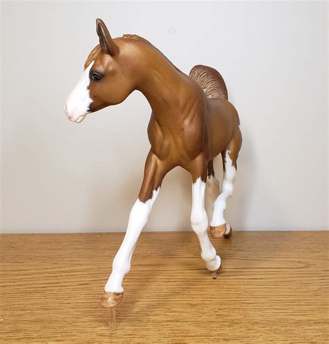 Custom Breyer Traditional Foal Resculpted Etsy