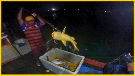 Pescaria Insana Em Alto Mar Enfrentando Monstros Do Oceano Na