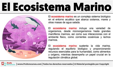 Qu Es El Ecosistema Marino