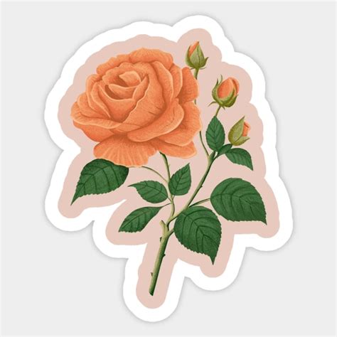 Aesthetic Rose Flower Floral Cute Rose Flower Sticker Teepublic