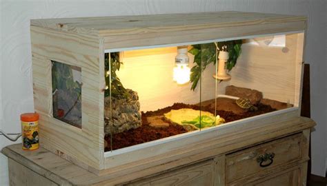 Terrarium Tortue Testudo Hermanni Boettgeri Piwiblackpearl