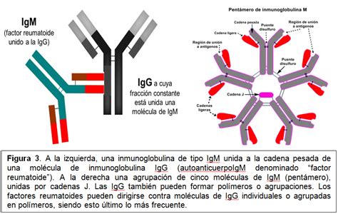 Factor Reumatoide Doctuo