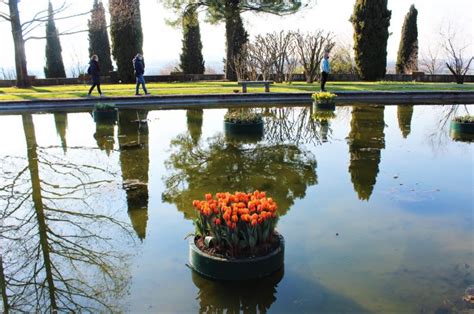 Visita Al Parco Sigurtà Cosa Vedere E Informazioni Utili Souvenir Di