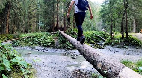 Le Mouvement Et Son Environnement Le Deuxi Me Pilier Pour Bien