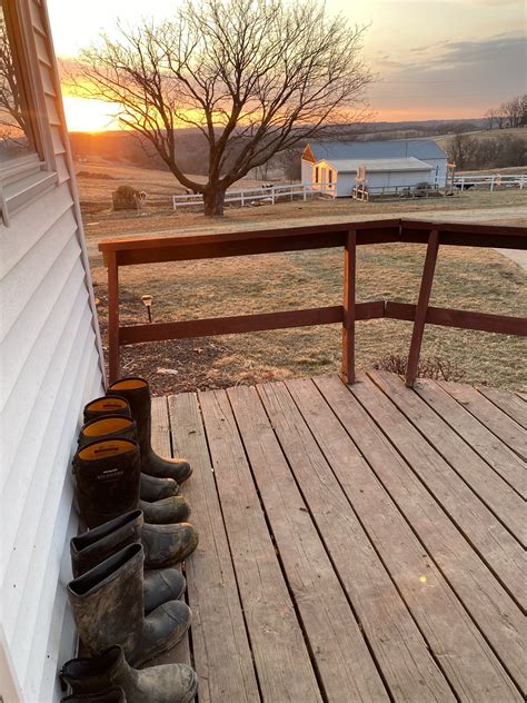 High Grove Farm Journal – March 2023