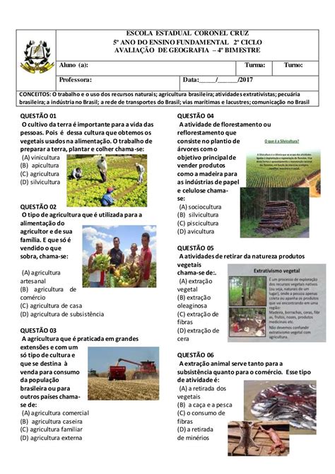 Agricultura Pecu Ria E Extrativismo Ano