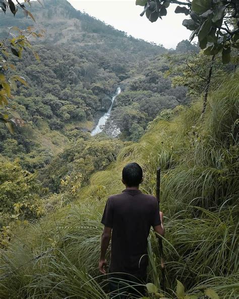 a man standing on top of a lush green hillside