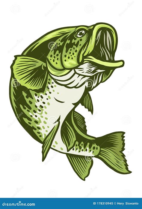 Largemouth Bass Fish Stock Vector Illustration Of Fish 178310945