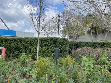 Photo Report Epcot Africa Updates More Topiaries Arrive