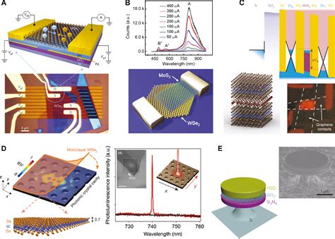 Integration Of 2D Materials On A Silicon Photonics Platform For