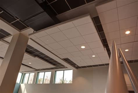 Pioneer Materials Inc Acoustical Ceilings