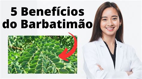 5 Benefícios do Barbatimão para Saúde Barbatimão para que Serve