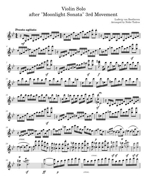 Violin Solo Taken From Moonlight Sonata 3rd Movement Ludwig Van