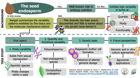 Review. Endosperm variability: From endoreduplication within a seed to higher ploidy across ...