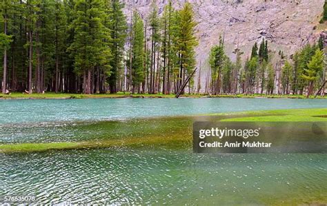 32 Mahodand Lake Stock Photos, High-Res Pictures, and Images - Getty Images