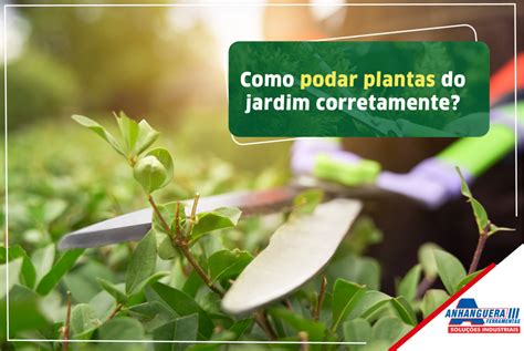 Como Podar Plantas Do Jardim Corretamente