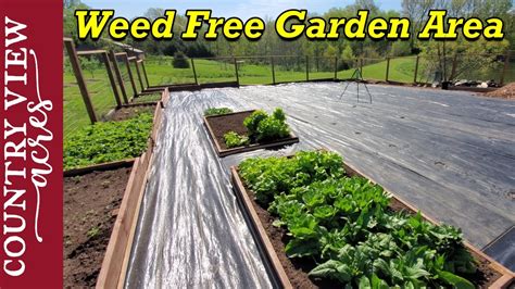 How To Install Landscape Fabric In Vegetable Garden Natural Weed