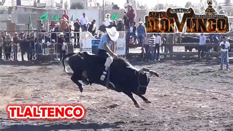 DE ESTOS JARIPEOS YA NO SE VEN EN CDMX RANCHO SANTO DOMINGO EN SAN